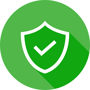 Secure Payment Icon